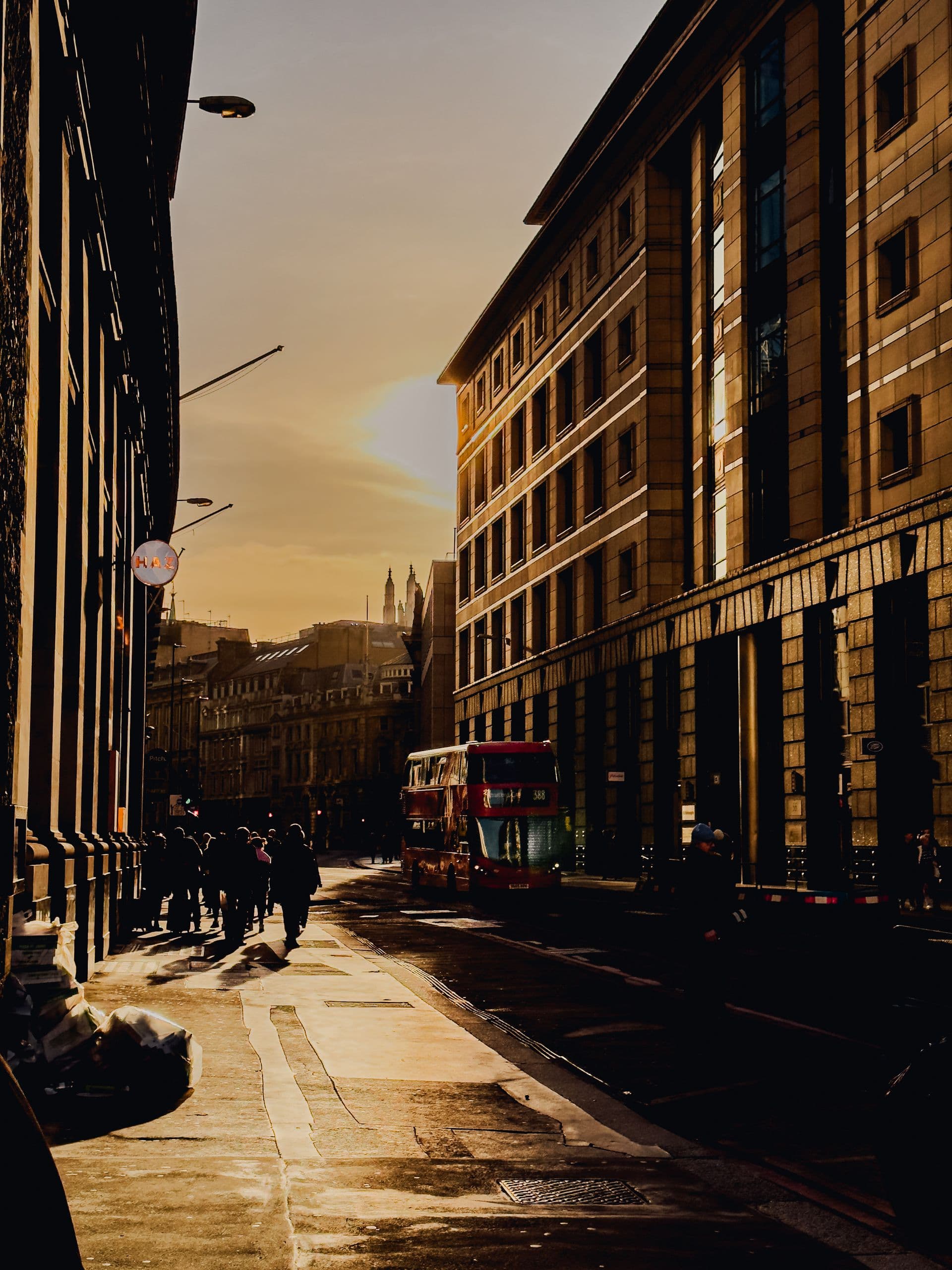 London city street at golden hour — pest control across all London boroughs